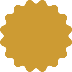 Naan Twist